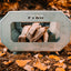 Pyro Camp Fire Pit + Grill Kit